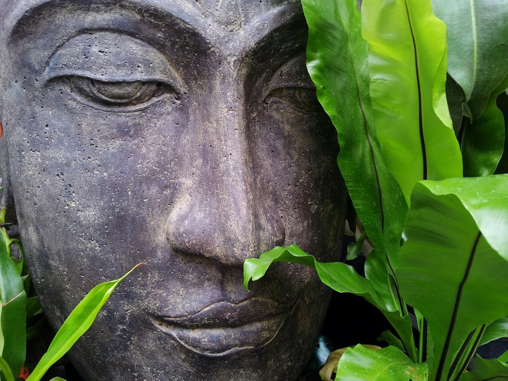 stone buddha face in garden