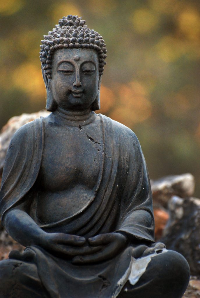 sitting buddha statue in garden